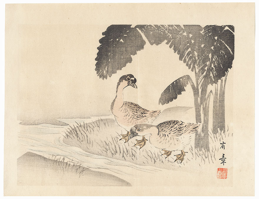 Ducks - Nakajima Yusho. 1913