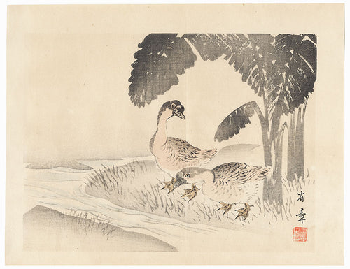 Ducks - Nakajima Yusho. 1913