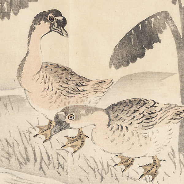 Ducks - Nakajima Yusho. 1913