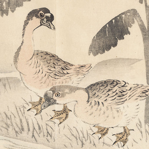 Ducks - Nakajima Yusho. 1913