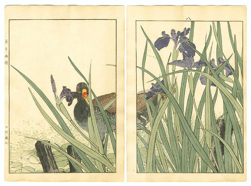 Duck - Keinen Kacho Gafu, Summer Group - Imao Keinen, Meiji Era