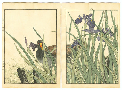 Duck - Keinen Kacho Gafu, Summer Group - Imao Keinen, Meiji Era