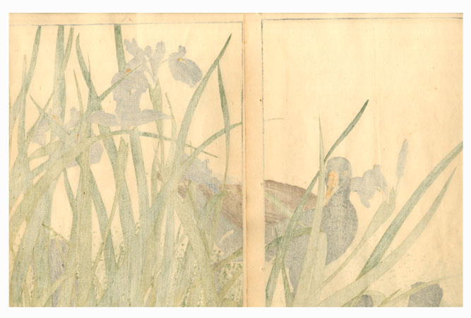 Duck - Keinen Kacho Gafu, Summer Group - Imao Keinen, Meiji Era
