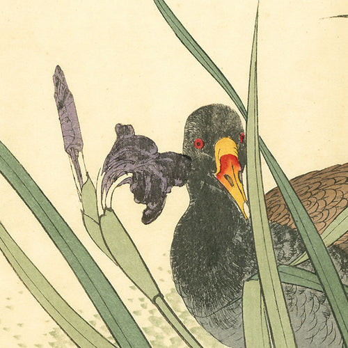 Duck - Keinen Kacho Gafu, Summer Group - Imao Keinen, Meiji Era